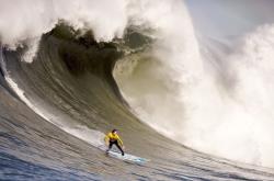 开云体育官网-风暴眼，哈兰德如何以个人节奏重塑全队，映照巴黎与那不勒斯的血拼哲学