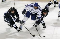 开云下载-压力熔炉中的绽放，拉文在灰熊对阵勇士的史诗对决中完成自我救赎