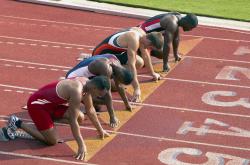 开云下载-2026世界杯焦点战，森林狼斩落雷霆，全球篮球迷的跨时空狂欢