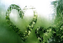 开云体育中国-英雄们的胜利之路，众人为之喝彩