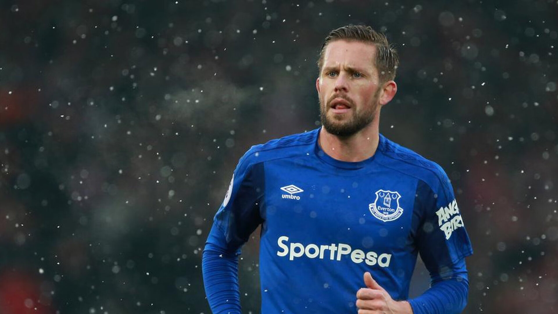 鹈鹕展翅高飞,武切维奇统治级数据击溃浙江队